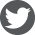 Twitter Icon